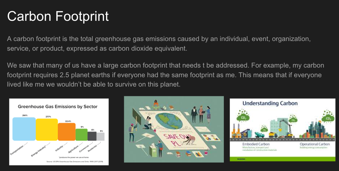 Slide with visuals on carbon footprints