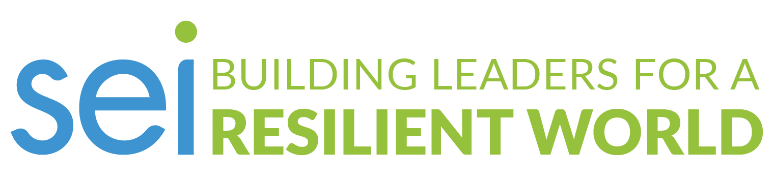 SEI Building leaders for a resilient world